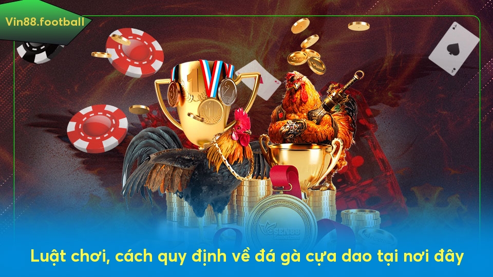 Luật chơi, cách quy định về đá gà cựa dao tại nơi đây