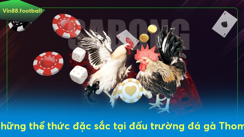 Những thể thức đặc sắc tại đấu trường đá gà Thomo
